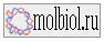 molbiol.ru