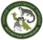 logo-altaiskiy